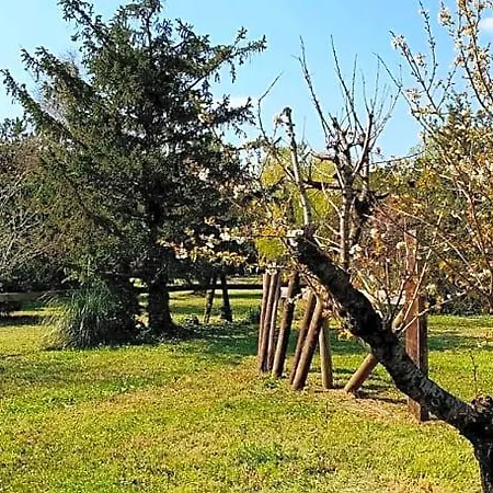 Mas Tareau D'hote La Goyaw Beaucaire (Gard)
