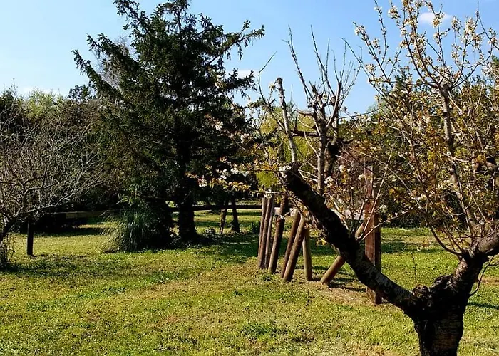 Mas Tareau D'hote La Goyaw Bed & Breakfast